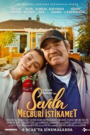 Sevda Mecburi İstikamet