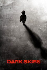 Karanlık Gökyüzü (2013) Türkçe Dublaj izle